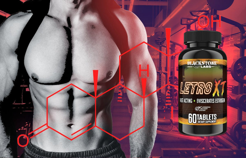 Letro XT | Unlock Hormonal Balance for Optimal Gains